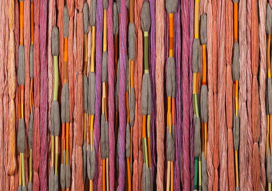 Coloquio Tejido Social